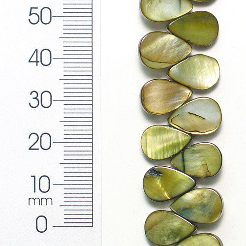 Tinted Shell Teardrop 8 in Strand Pack of 2                   - Olive