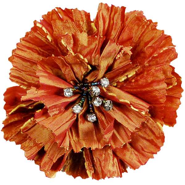 Florentina Jeweled Brooch Pin Hair Clip 4 1/2"